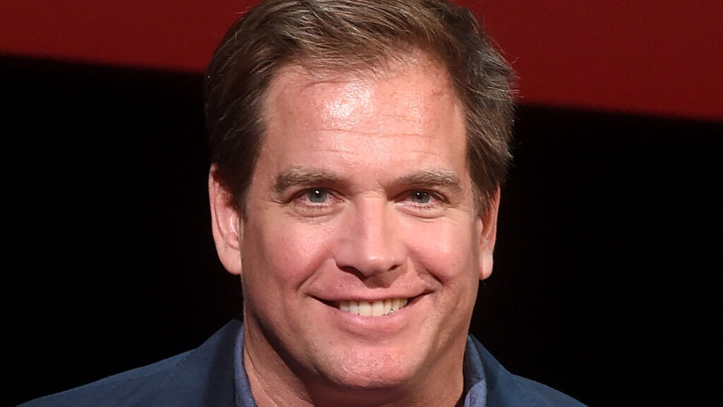 Michael Weatherly Net Worth 2023